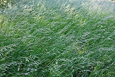 PS+欧美服九月会免游戏公布 《杀手2》等